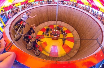 Last Minute Addition To Ardingly Summer Show