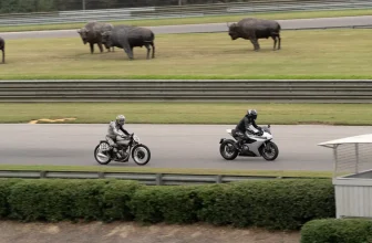Norton Motorcycles Makes U.s. Dynamic Debut At Barber Vintage Festival