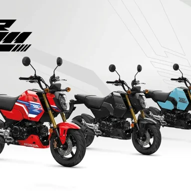 Honda completes 2026 range updates with new colours for MSX125 Grom