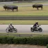 The art of standing out: the 2027 livery of Yamaha XSR900 GP